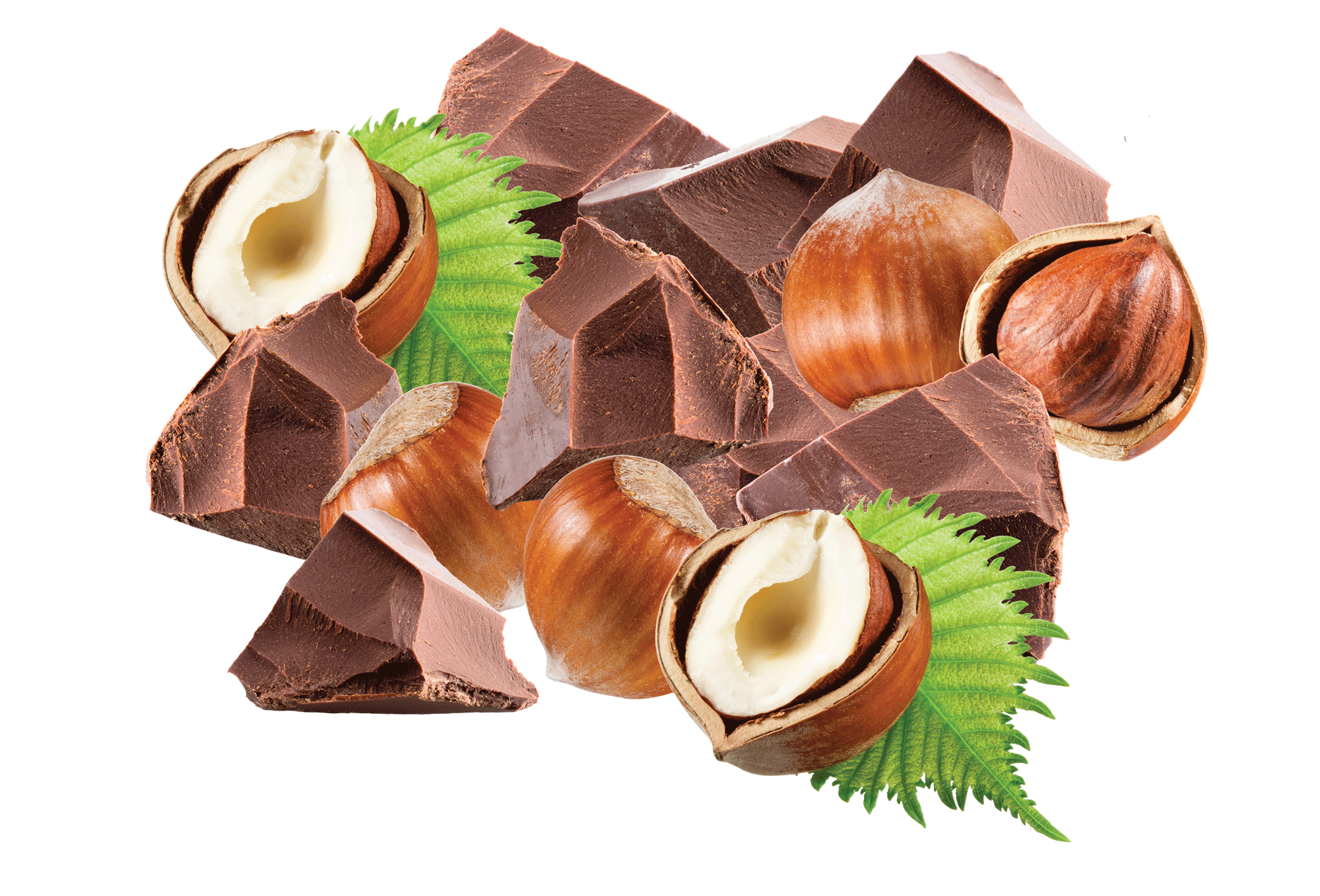 hazelnut and cocoa spread